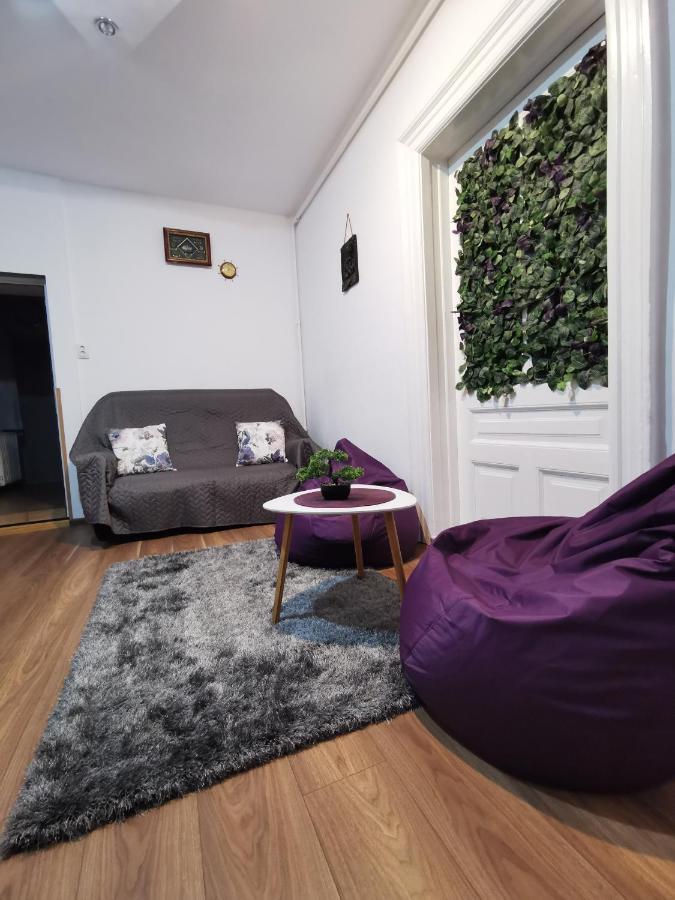 Fun House - Spacious Apartment Near Old Town Brașov Exterior foto
